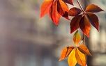 فال ابجد محشر 7 آبان 1402 + فیلم